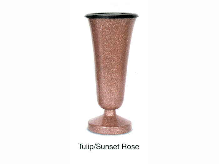 Tulip Sunset Rose
